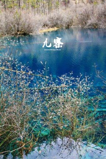 为什么你总是喜欢主动亲吻男朋友 你不爱他但就是控制不住？